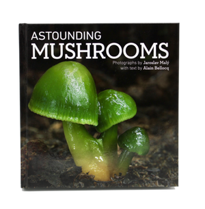 Life Cykel - Astounding Mushrooms Book