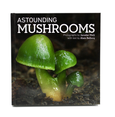 Life Cykel - Astounding Mushrooms Book